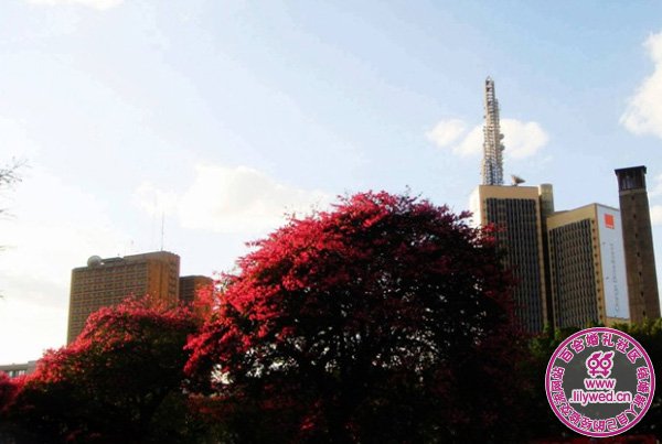 ���ޱϣ���ľ�����ļ����ܣ�����Ϊ&ldquo;�����µĻ�԰��&rdquo;