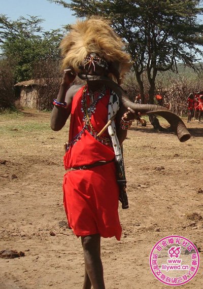 ���������ʨ���裬ͷ�ξ�˵��ʨ��Ƥë���ɵ�