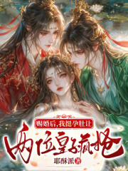 赐婚后，我挺孕肚让两位皇子疯抢